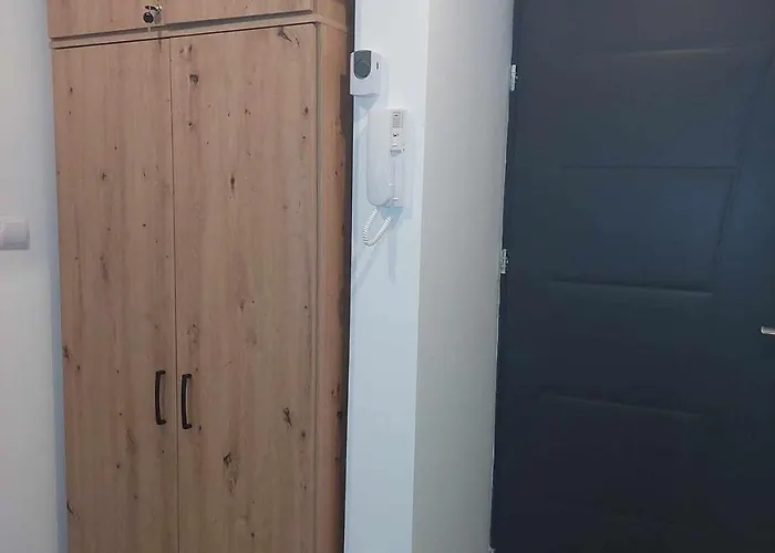 아파트 Centrum Przy Placu Zwyciestwa 그리피체