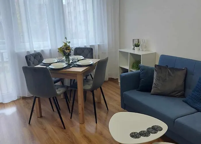 아파트 Centrum Przy Placu Zwyciestwa 그리피체